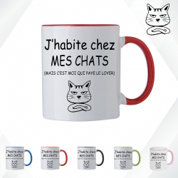 Mug - J'habite chez mes chats mais c'est moi qui paye - Brod N' Flock
