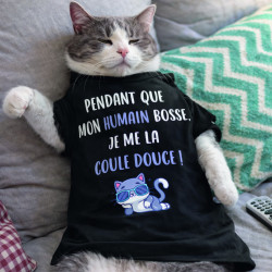 T-shirt - pendant que mon humain bosse je me la coule - Brod N' Flock