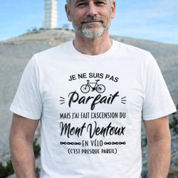 T-shirt - Je ne suis pas parfait mais j'ai fais... - Brod N' Flock