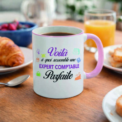 Mug - Voilà à quoi ressemble une expert comptable ...- Brod N' Flock
