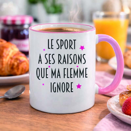 Mug - Le sport à ses raisons que ma flemme ignore - Brod N' Flock
