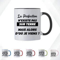 Mug - La perfection n'existe pas sur terre mais alors - Brod N' Flock