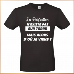 T-shirt - La perfection n'existe pas sur terre mais - Brod N' Flock