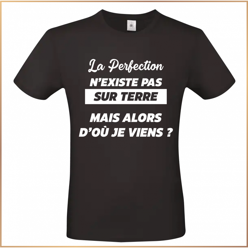 T-shirt - La perfection n'existe pas sur terre mais - Brod N' Flock