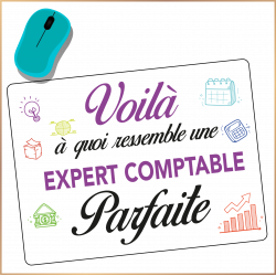 Tapis de souris - Expert comptable Parfaite - Brod N' Flock