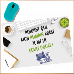 Tapis de souris - Pendant que mon humain bosse je me...- Brod N' Flock